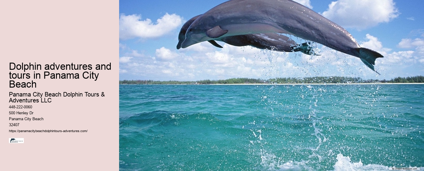 Panama City Beach Dolphin Tours & Adventures 2 Story