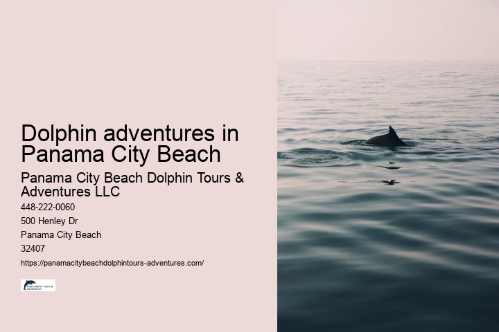 Dolphin adventures in Panama City Beach