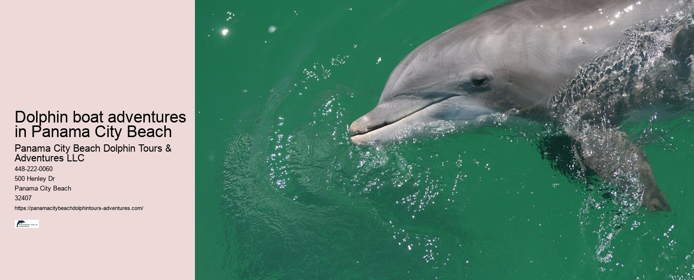 Dolphin Tours in Panama City Beach