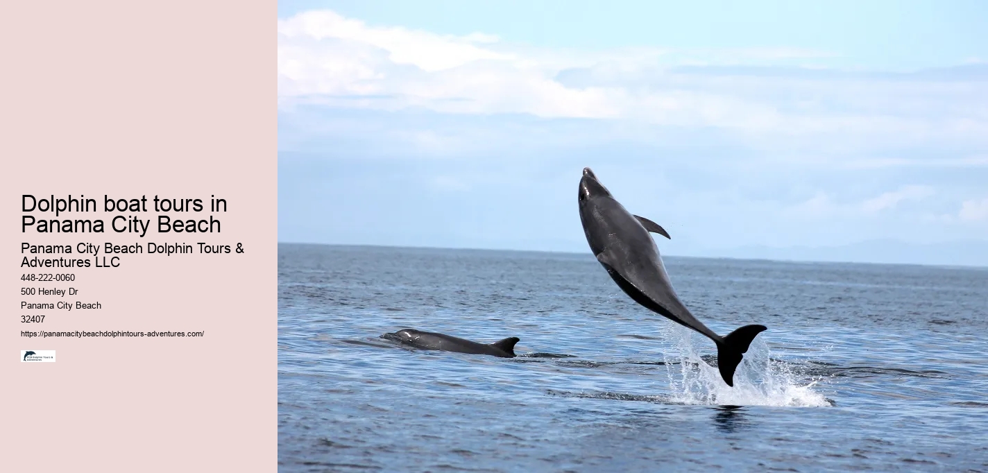 Dolphin boat tours in Panama City Beach