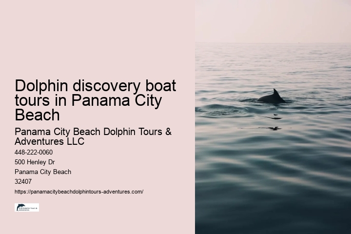 Dolphin discovery boat tours in Panama City Beach