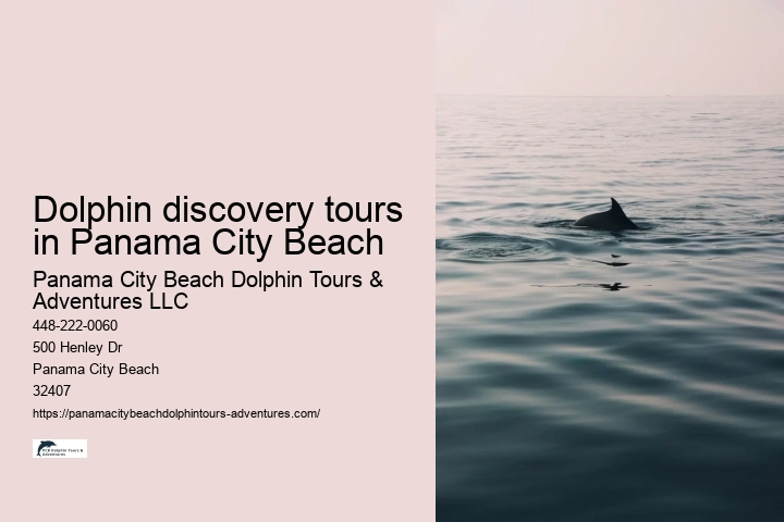 Dolphin discovery tours in Panama City Beach