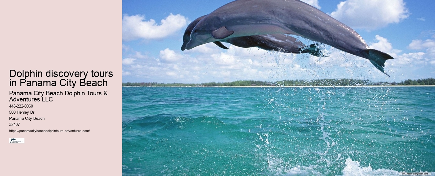 Panama City Beach dolphin safari tours