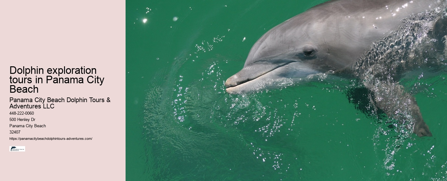 Panama City Beach Dolphin Tours & Adventures 25th