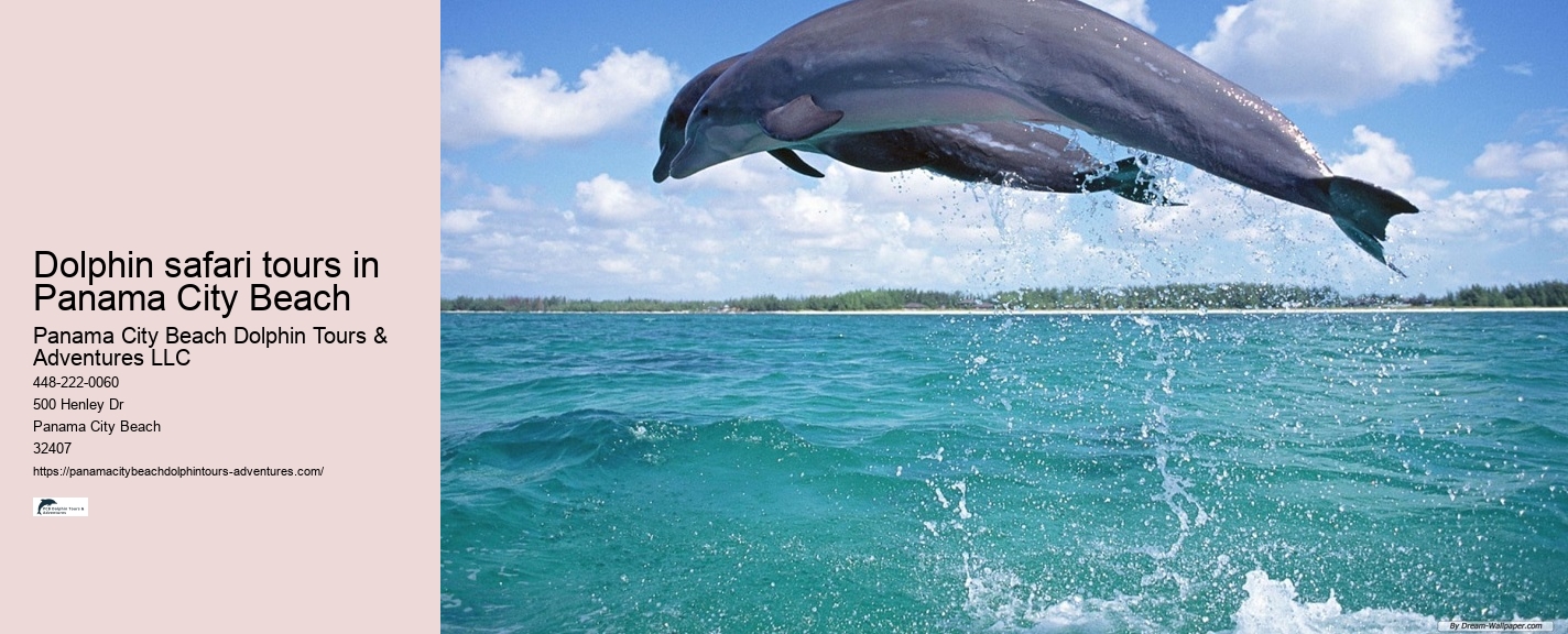 Panama City Beach Dolphin Tour Adventures Wild