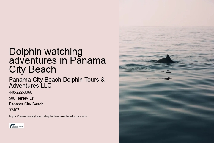 Dolphin watching adventures in Panama City Beach