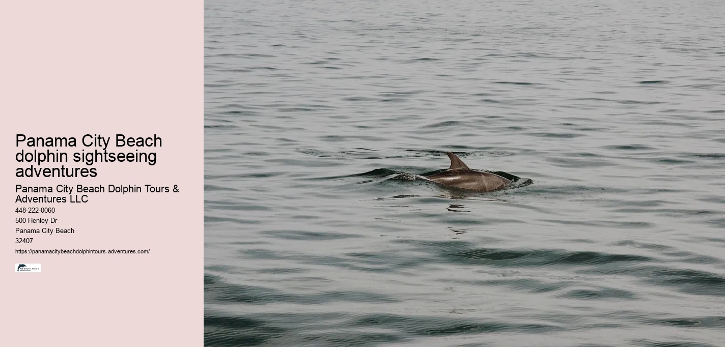 Panama City Beach dolphin sightseeing adventures