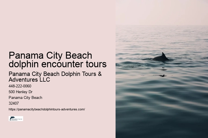 Panama City Beach dolphin encounter tours