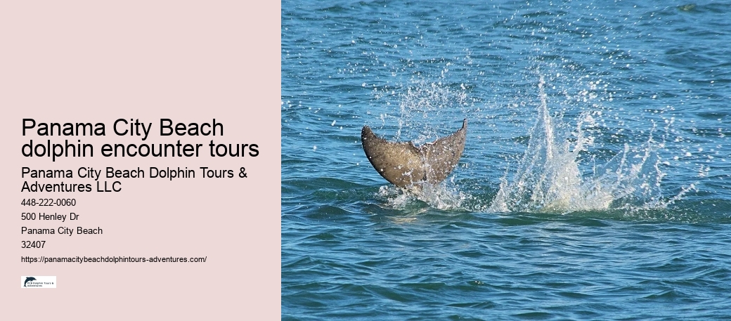 Panama City Beach dolphin encounter tours