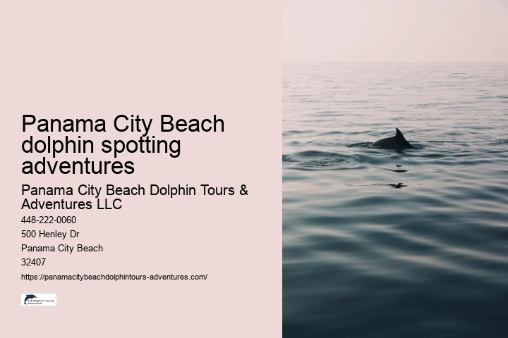 Panama City Beach dolphin spotting adventures