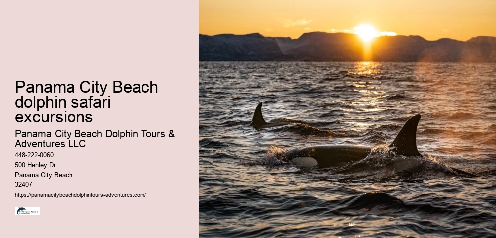 Panama City Beach dolphin safari excursions