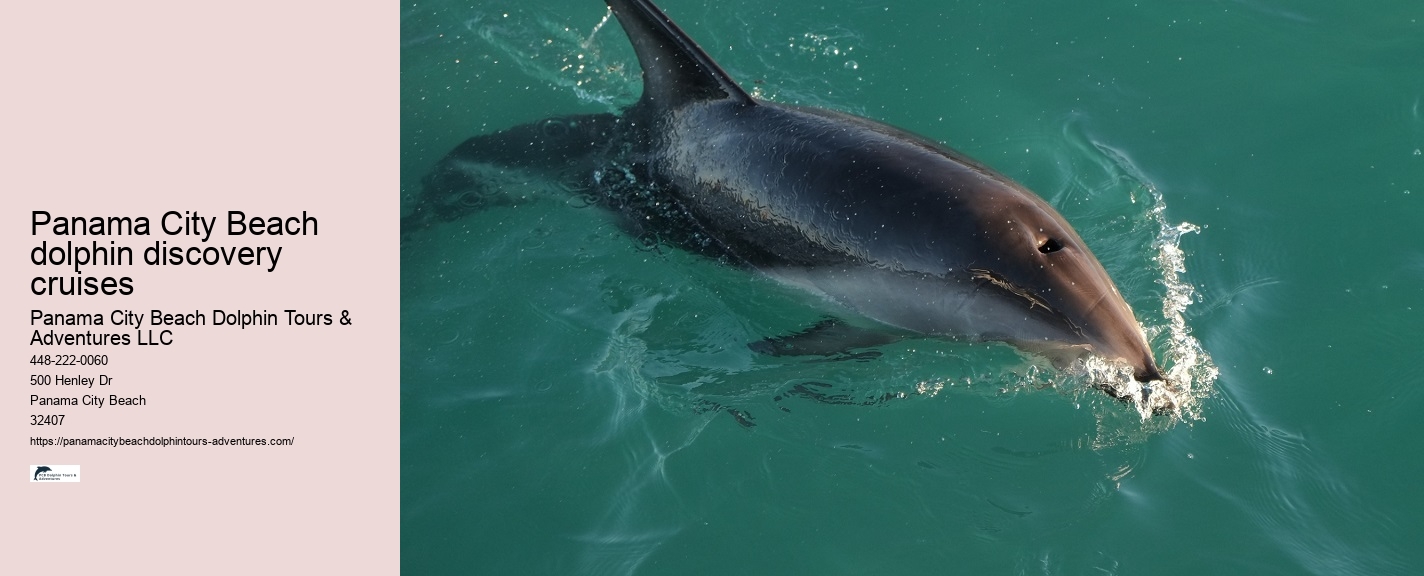 Panama City Beach Dolphin Tours Adventures Lane