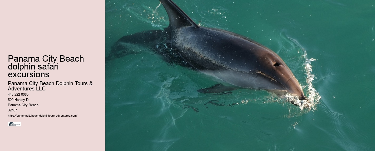 Panama City Dolphin