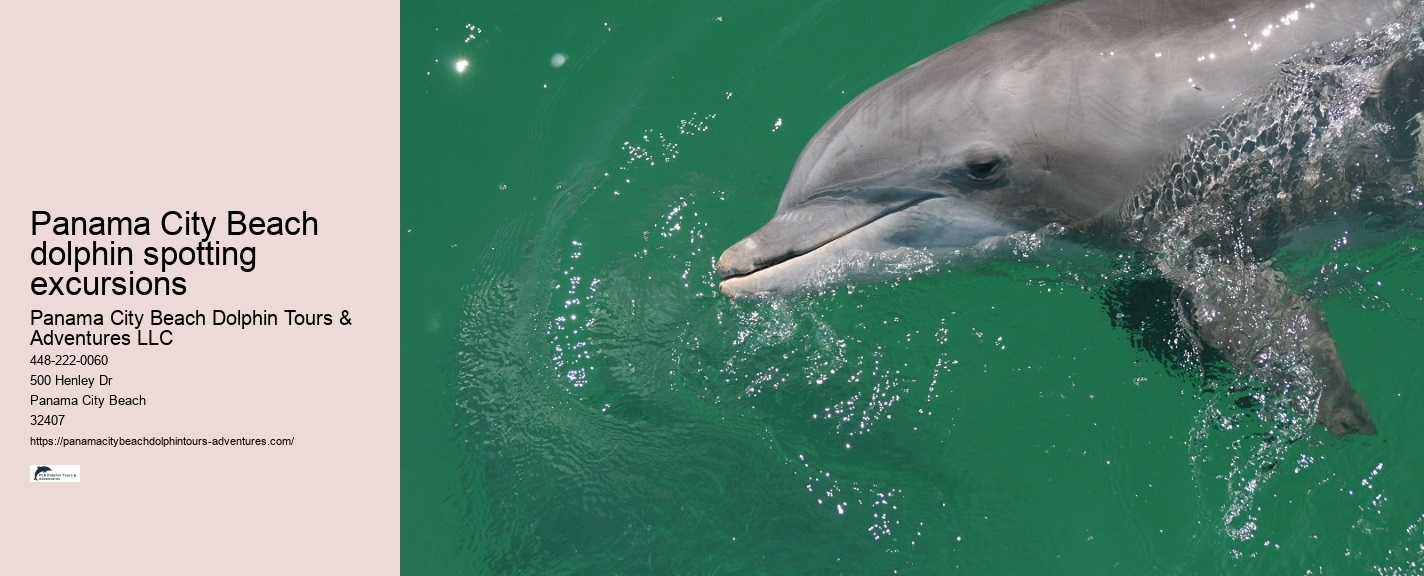 Panama City Beach Dolphin Tours & Adventures Vacation Rentals