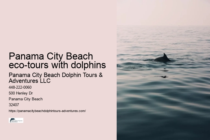 Panama City Beach eco-tours with dolphins