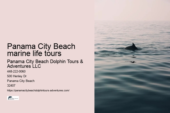 Panama City Beach marine life tours