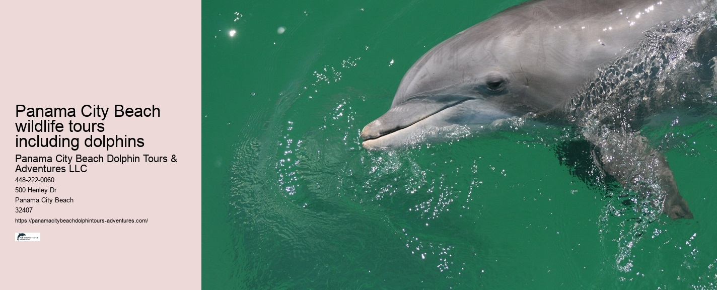 Can we touch the dolphins during the tours and adventures